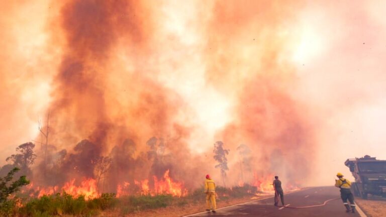 Corrientes: ante situación crítica del clima, la Provincia se mantiene en «alerta extrema» por los incendios