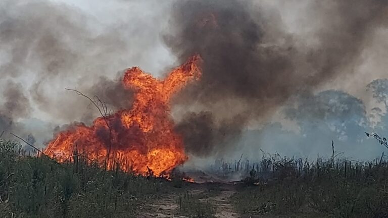 Corrientes tuvo cerca de 1.000 focos de incendio en enero y lo que va de febrero