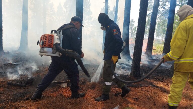 Conservacionistas alertan sobre el avance del fuego en el Parque Iberá