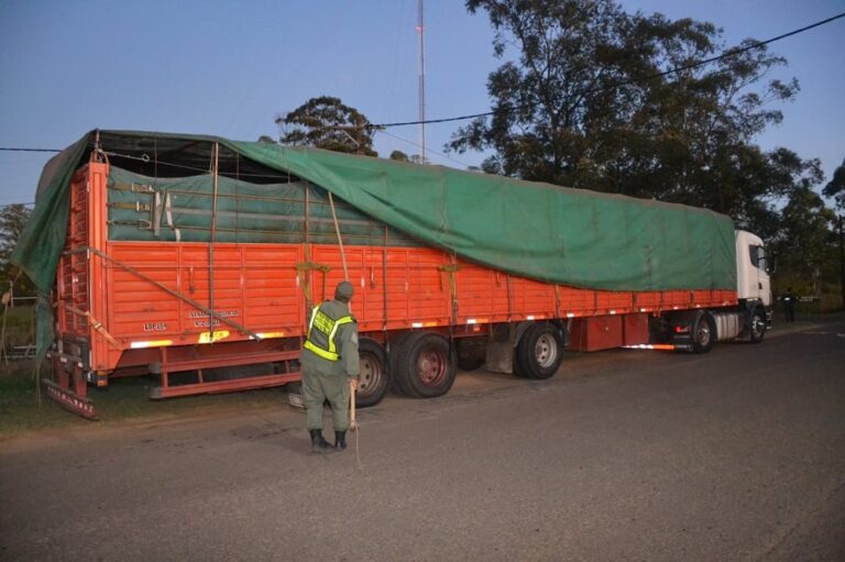 Alvear: Detuvieron a dos camiones cargados de soja de contrabando