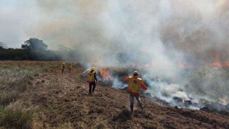 Volvieron los incendios y en la zona de «Cuay Chico» se quemaron más de mil hectáreas