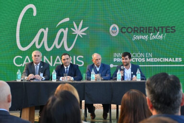 El gobernador Valdés presentó el primer aceite medicinal de cannabis producido íntegramente en Corrientes