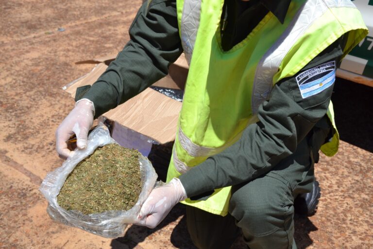 Gendarmeria Intercepta 33 paquetes de marihuana en encomiendas