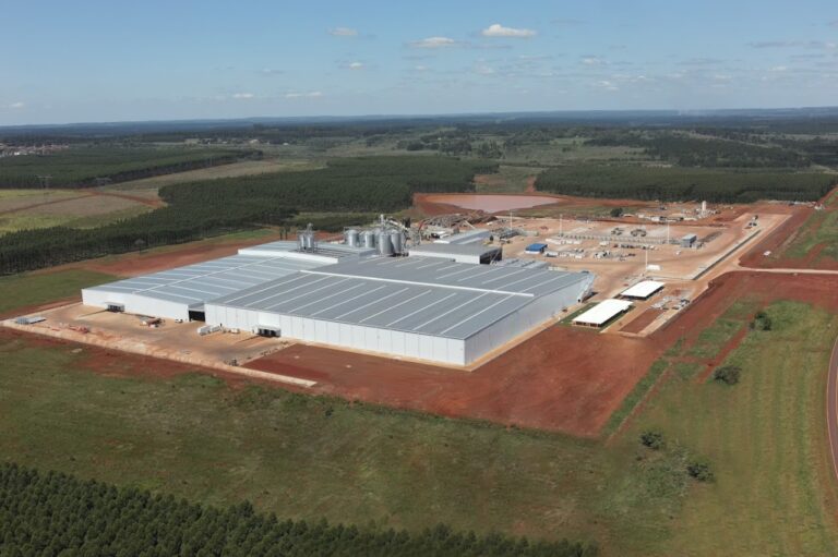 De Virasoro al Mundo: aserradero más grande del país inició operaciones de prueba