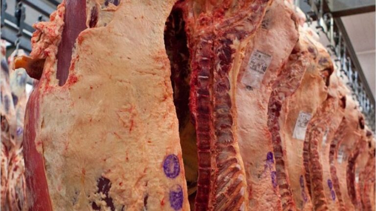 Gobierno autorizó la exportación de siete «cortes populares» de carne que estaban prohibidos
