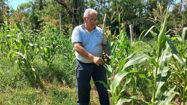 Como afectaron las lluvias del último semestre de 2023 a los pequeños productores