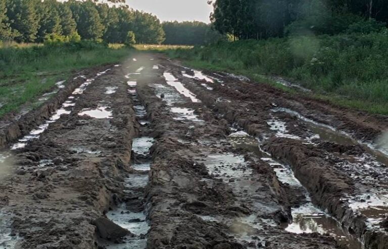 Advierten que “el gobierno debe entender que la situación no da para más” en relación al muy mal estado de los caminos