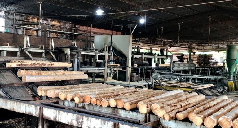 Los aserraderos de la Argentina registran una reducción del 40% en su actividad