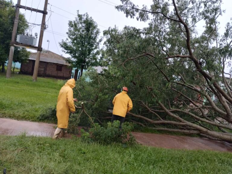 Temporal de viento y lluvia en Santo Tomé: Informe oficial de la situación