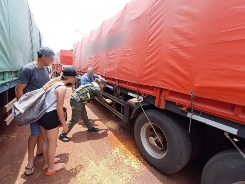 Gendarmería Nacional incauta camión con 70 toneladas de soja