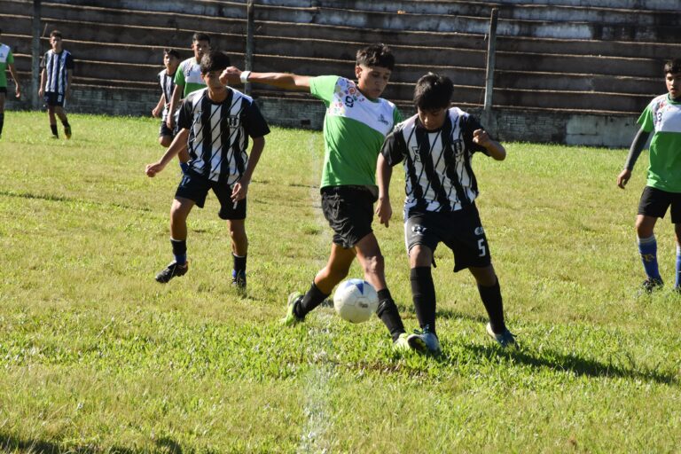 Se desarrolla la instancia local de los Juegos Correntinos en Santo Tomé