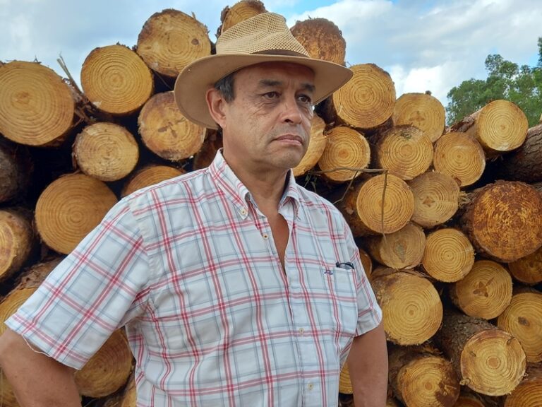 La “motosierra” también llegó al sector maderero y la situación es complicada