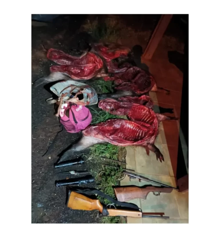 Detienen a cazadores furtivos con carpinchos faenados y dos cachorritos