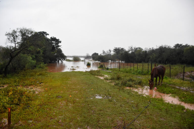 Por precaución varias familias debieron dejar sus hogares ante el avance del rio Uruguay