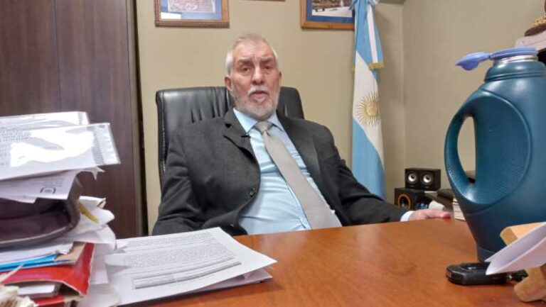 Las universidades públicas en el actual contexto institucional