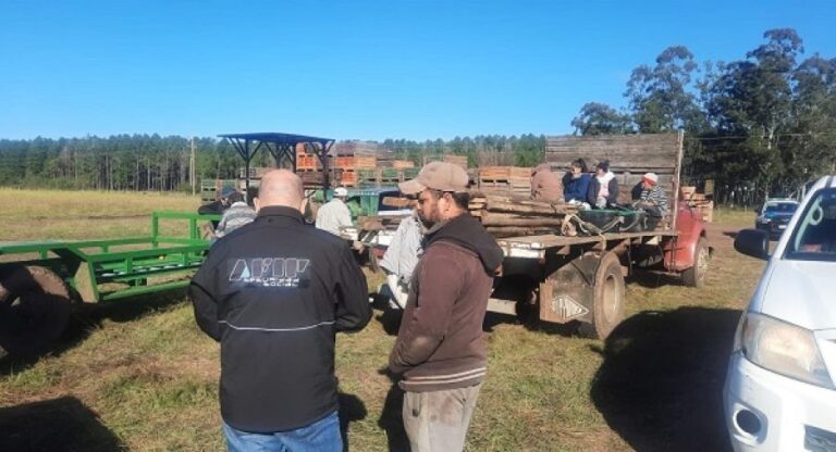 Operativo de AFIP en campo de cítricos correntinos detecta trata de personas