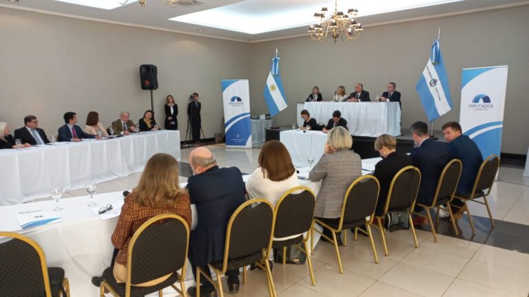 La interna radical al rojo vivo: Diputados casi queda sin quórum por desavenencias en la UCR