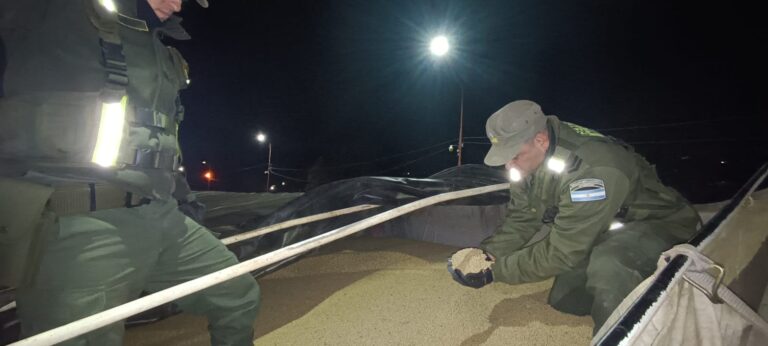 GN secuestró 92 toneladas de soja que eran trasportadas ilegalmente