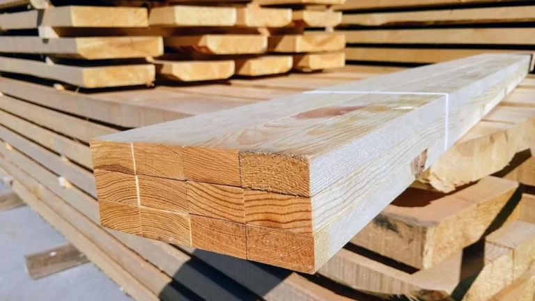 Sector foresto-industrial confían en llegada de nuevas inversiones por el régimen RIGI