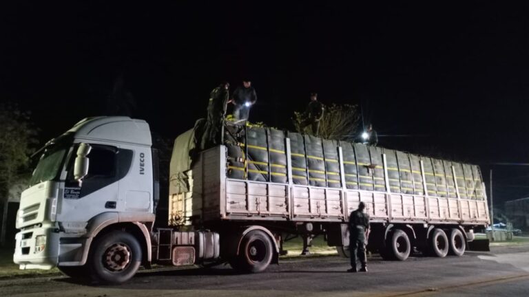 Secuestran 60 toneladas de soja que eran trasladadas en dos camiones