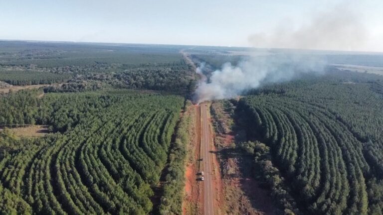 Realizan quemas controladas para disminuir riesgos de incendios en el verano