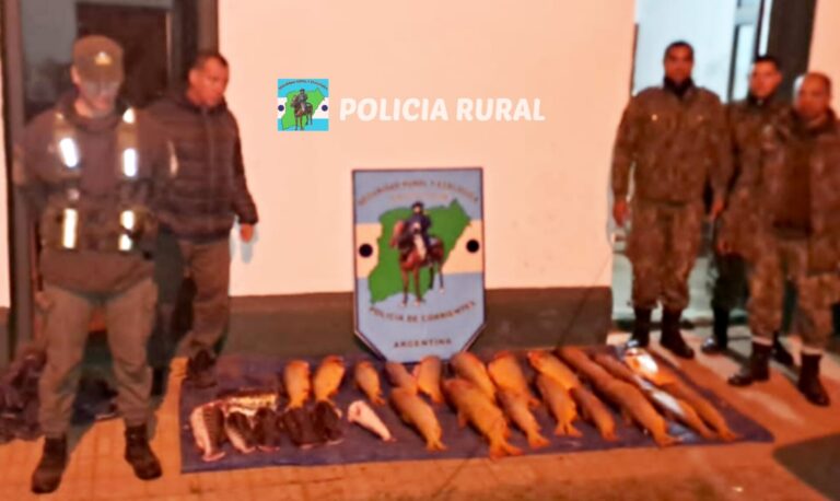 En un Trabajo en conjunto Policía Rural y Gendarmería secuestran gran cantidad de dorados