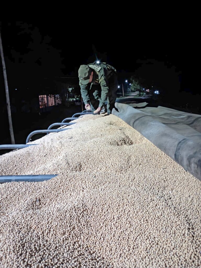 Secuestraron 57 toneladas de granos y legumbres que eran transportadas con documentación inconsistente