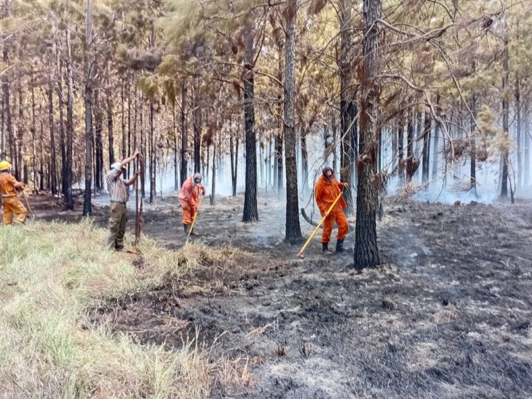Nuevos focos de incendio mantienen en alerta a los equipos de control