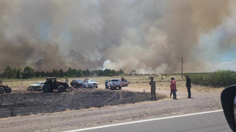 Incendios en Corrientes: Los consorcios de manejo del fuego muestran su razón de ser, en medio de la difícil situación ígnea