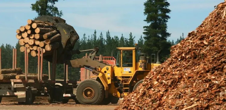 “Peor que nunca”: industriales de la madera cuestionaron parte del rumbo económico de Milei y advirtieron por el cierre de empresas