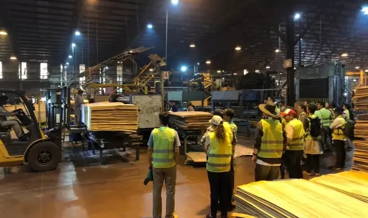 Forestadora Tapebicuá pidió la “Crisis Preventiva” y podría ser el 1° gigante caído en la era Milei