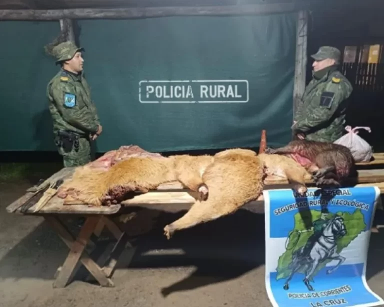 La Cruz: Cazaron un ciervo de los pantanos, los atraparon pero seguirán libres