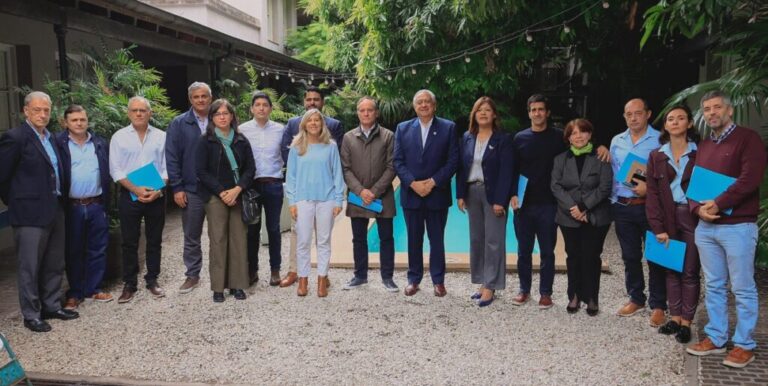 El Grupo Alondra contra el reloj: organización e indefiniciones