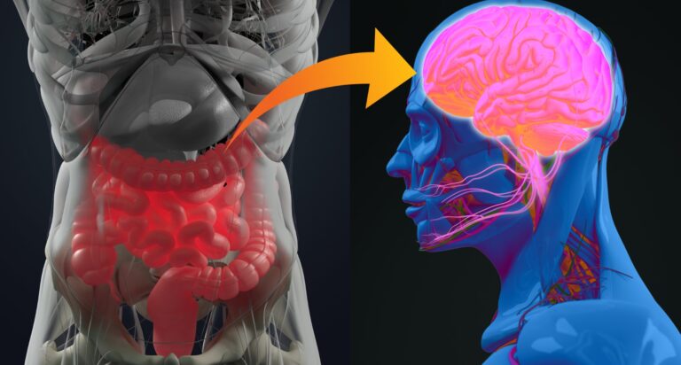 Dia Mundial del Cerebro: Cerebro intestinal: ¿mito o verdad?