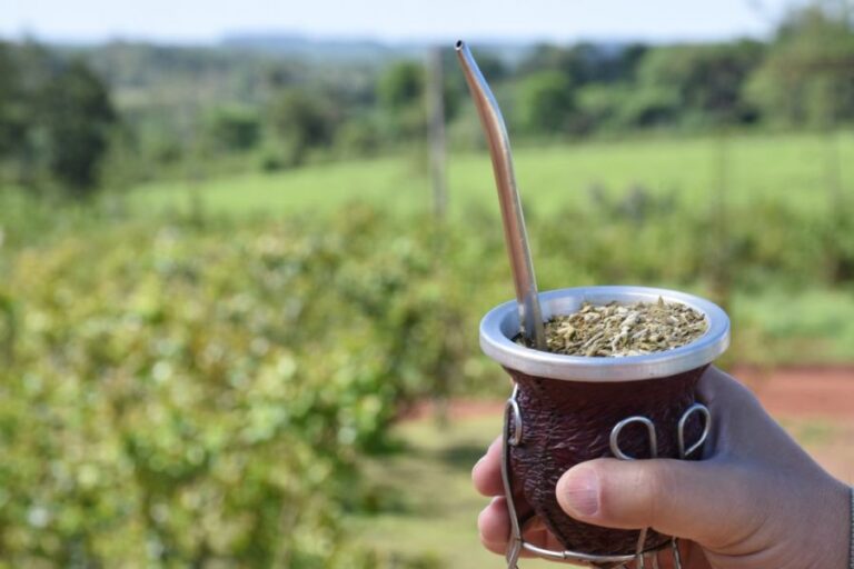 Yerba mate y arroz en crisis y persisten dificultades en forestación y citricultura