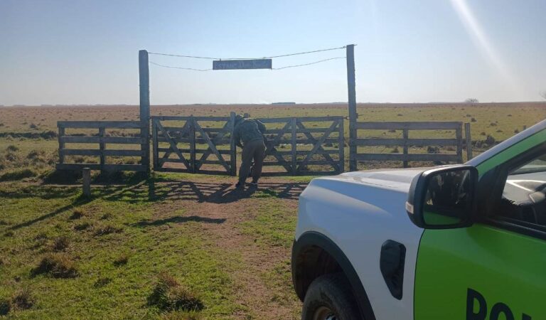 Continúa la búsqueda del hombre que desapareció días atrás en un campo de la zona
