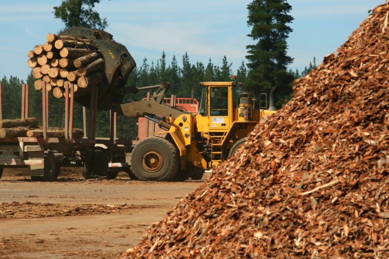 Misiones y Corrientes: El sector foresto-industrial alerta caída de materia prima