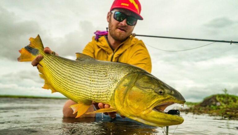 El Ejecutivo vetó la ley que declara Monumento Natural al «Dorado»