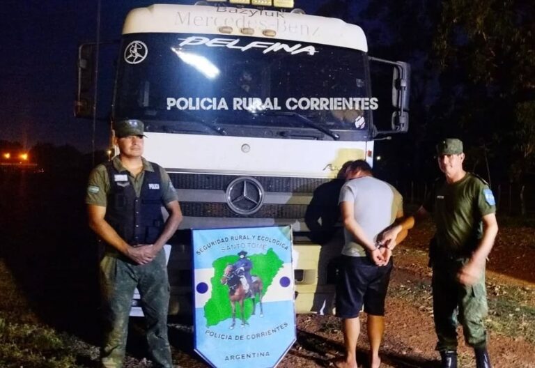 Camión trasladaba ganado vacuno con guías adulteradas hacia la provincia de Misiones