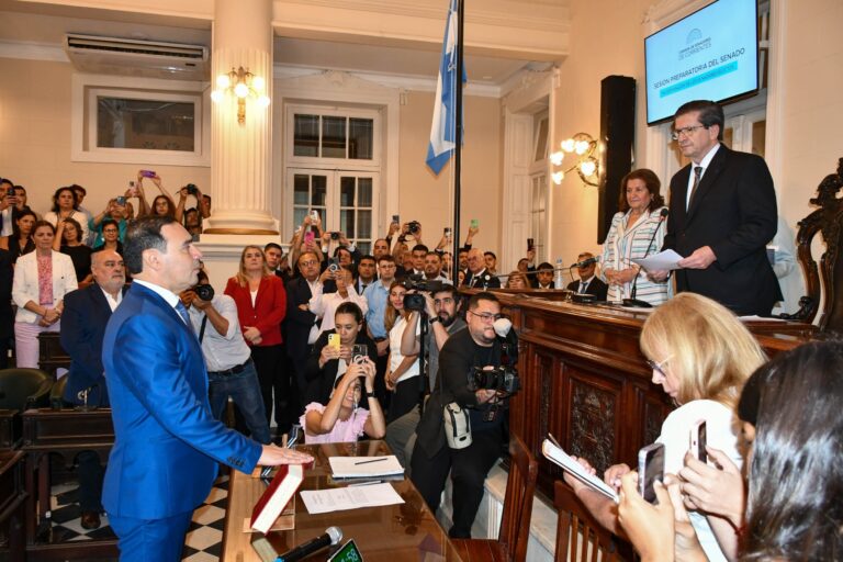 Valdés juró como senador y anticipó que impulsará iniciativas sobre producción e industrialización