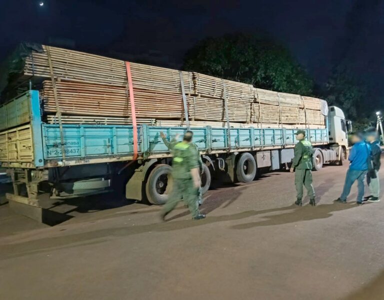 Transportaba más de dos toneladas y media de marihuana encofrado con madera de eucalipto y pino