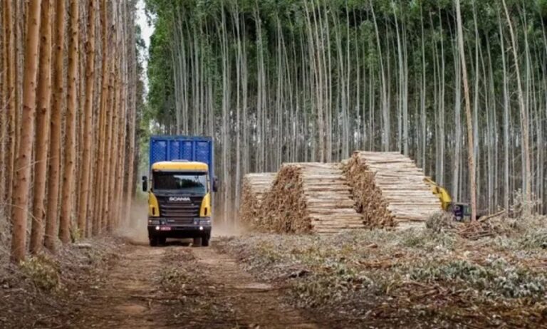 Cámaras asociadas a la cámara foresto-industrial FAIMA están en dificultades