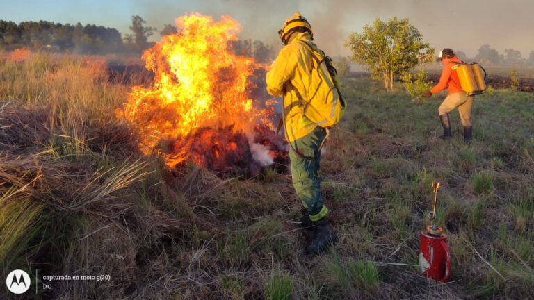 Equipamiento, esfuerzo y prevención: las herramientas listas para combatir el fuego en la provincia