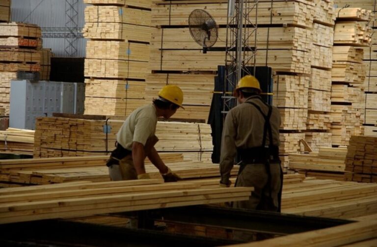 La foresto-industria evalúa oportunidades y riesgos ante la apertura comercial hacia Europa