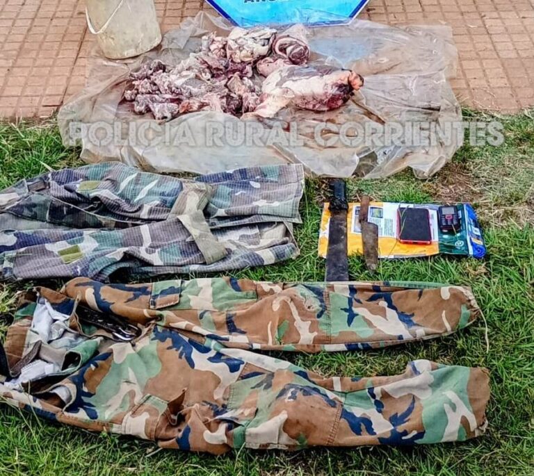 Denunciaron el robo de cuatro animales vacunos de un establecimiento rural sobre la costa del rio Uruguay