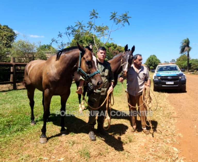 La Policía Rural recuperó dos caballos valuados en más de 20 millones de pesos