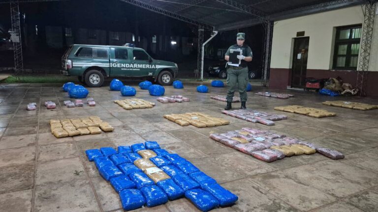Gendarmes decomisaron 649 kilos de marihuana que fueron abandonados en la selva misionera