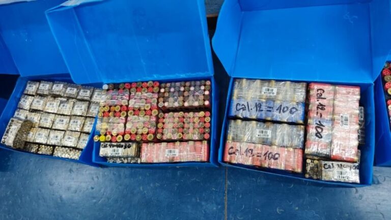 Mediante su traslado a Buenos Aires, entregan más de 1000 armas de fuego para su destrucción