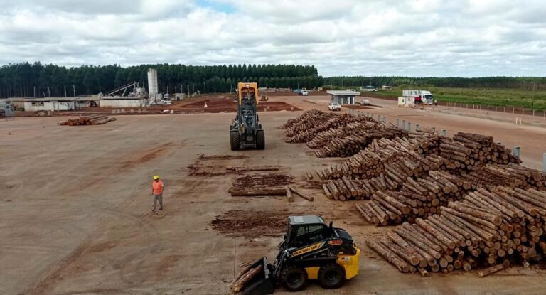 Tragedia en el aserradero mas grande de Corrientes: La ambulancia nunca llegó