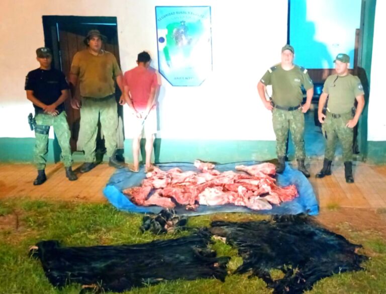 Condenan a cuatrero en menos de un mes tras haber cometido un delito